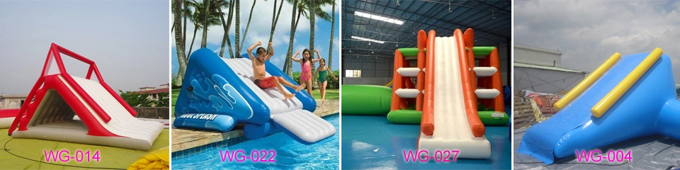 Inflatable Water Slide with Pool for Entertaiment Park